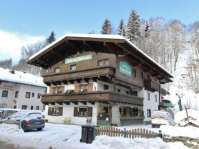 Apartment in Saalbach-Hinterglemm near ski area